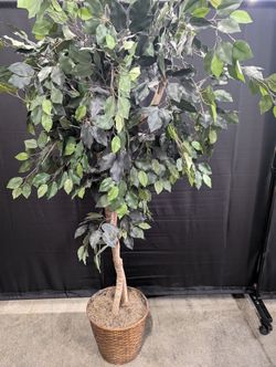 Lush Artificial Ficus Tree with Woven Basket Planter