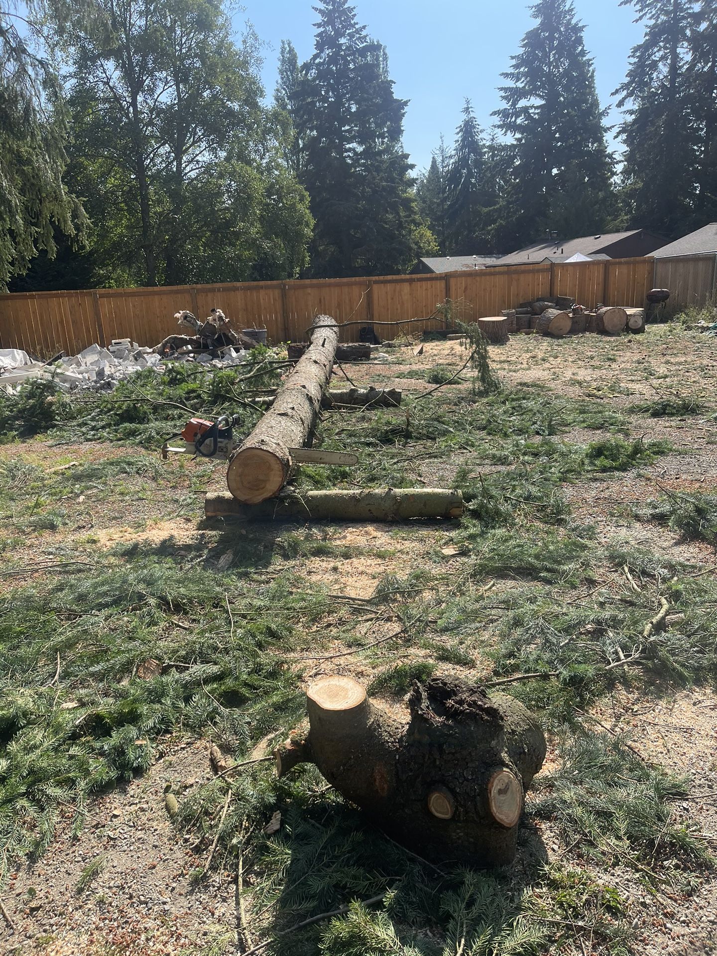 Trees And Firewood