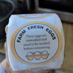 Fresh Laid Eggs