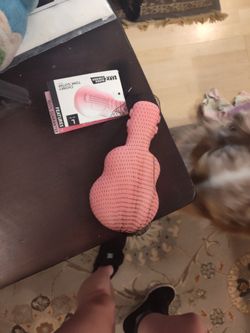 Guitar Dog Chew Toy Strong Bite Barkbox