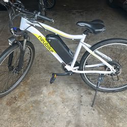 Electric mountain bike