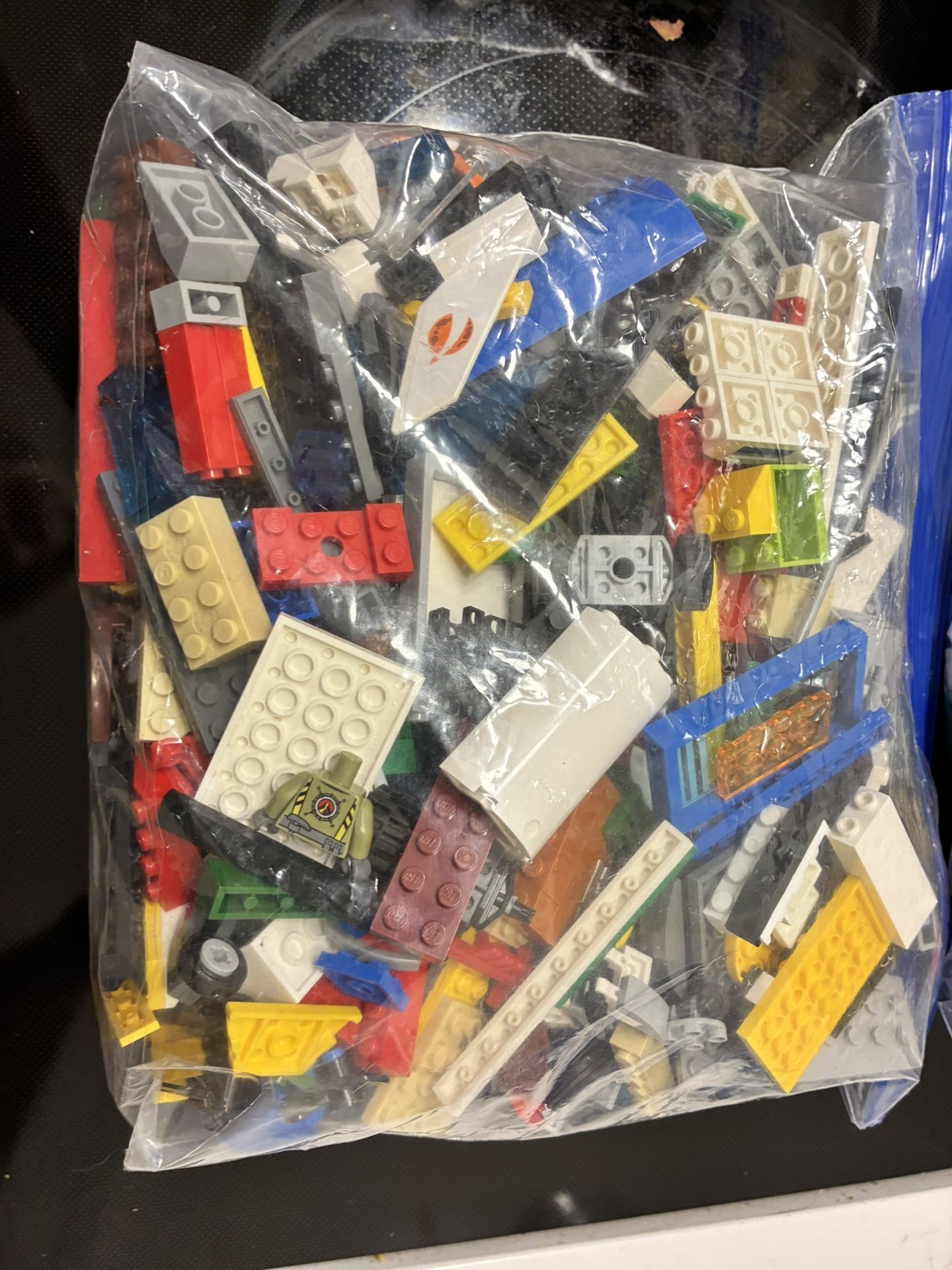 Gallon Sized Bags Of LEGOs