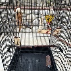Medium Cage Bird  Used Perfect Conditions Only Available For Pick Up In Rancho Cucamonga Price Firme Thanks 