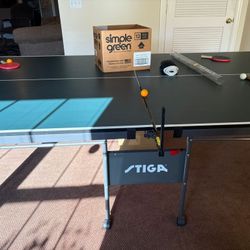 Table Tennis 