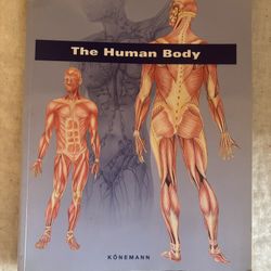 human body anatomy book 