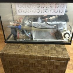 10 Gallon Fish Tank With Accessories 