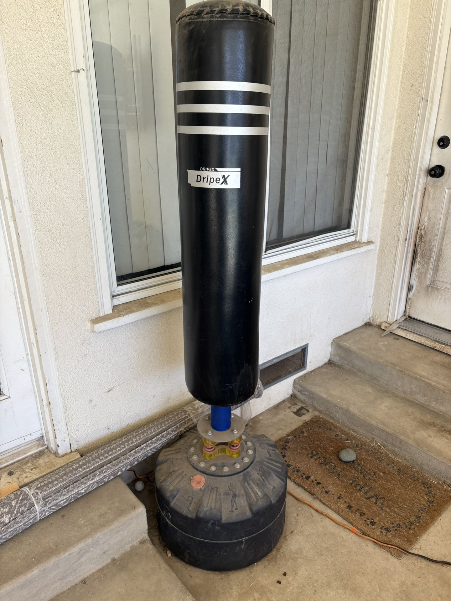 Punching Bag With Gloves