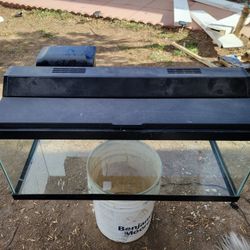 20 Gallon Fish Tank