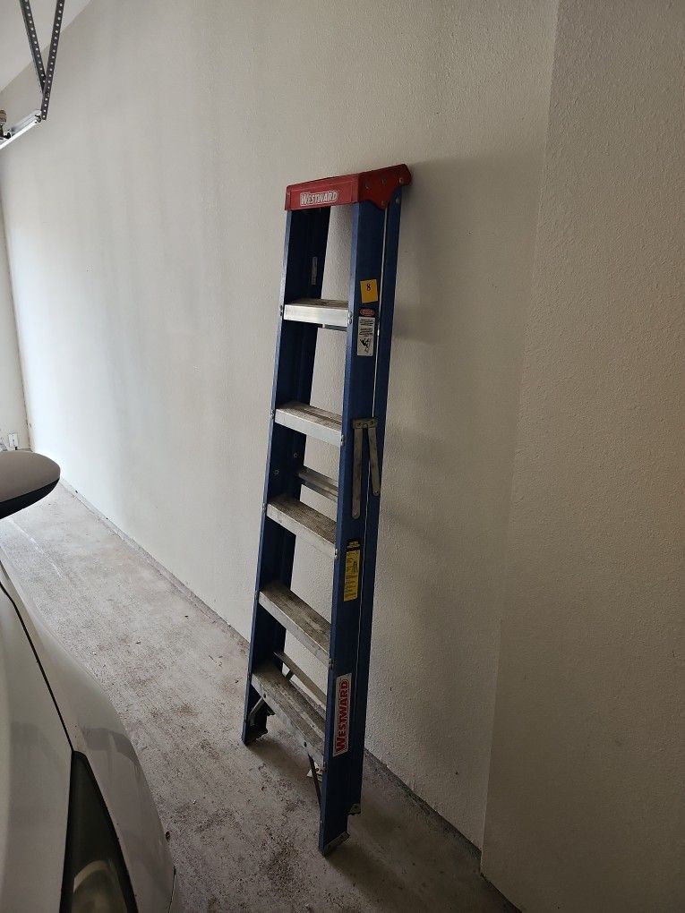 6ft Ladder