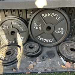 GYM BUNDLE  - DUMBBELLS, SQUAT RACK, PULL UP, BOX JUMP, MORE