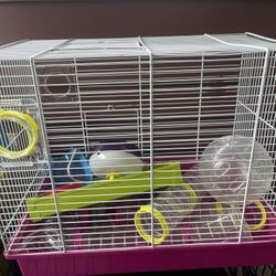 Hamster 🐹 Cage 