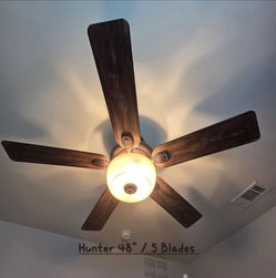 Hunter Ceiling Fans