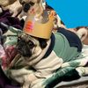 Pugness 