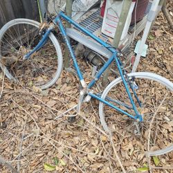 Old Bianchi Small Mtn Bike Great For Resto