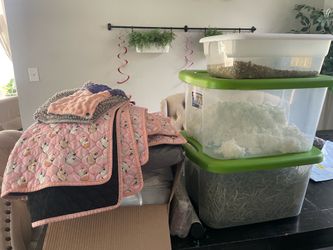 Guinea pig stuff