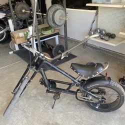 Schwinn Sting Ray (Chopper Bike)