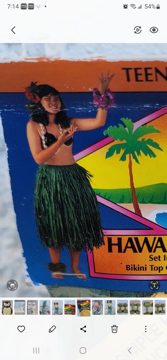 hawaiian hula skirt with coconut bikini top set costume new waist 28" length 26"