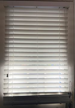 Window Blinds