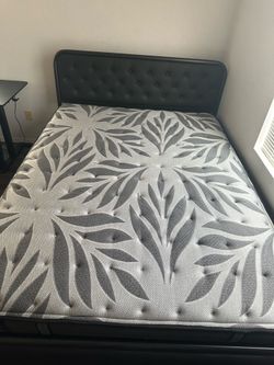 Queen  size bed for sale
