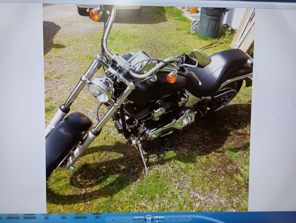 2000 Harley Davidson Softail