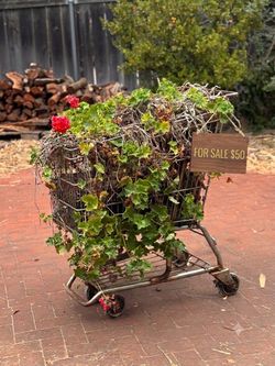 Rustic Vintage Metal Shopping Cart Garden Planter w/ Geranium Flowers