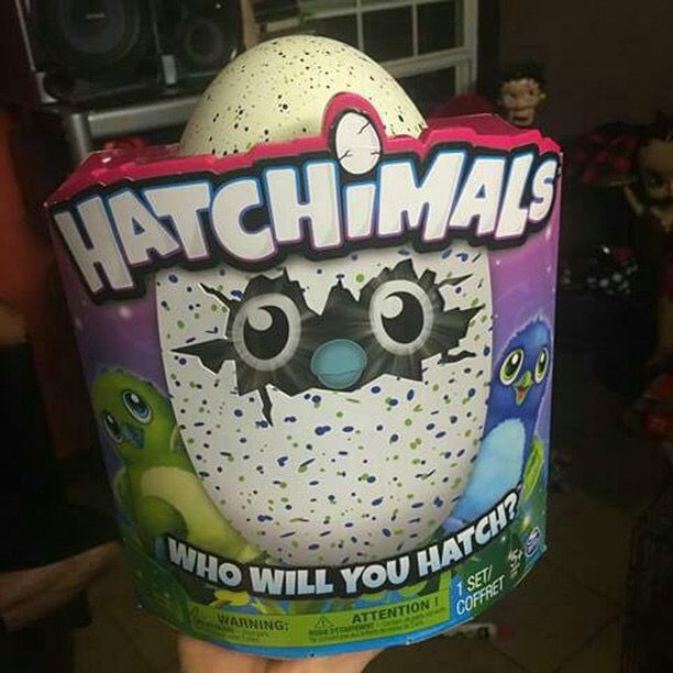 Hatchimal Brand New