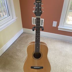 MDJ10 Junior Dreadnought Acoustic Guitar