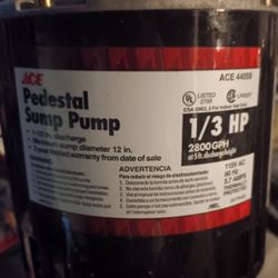 Ace Sump Pump