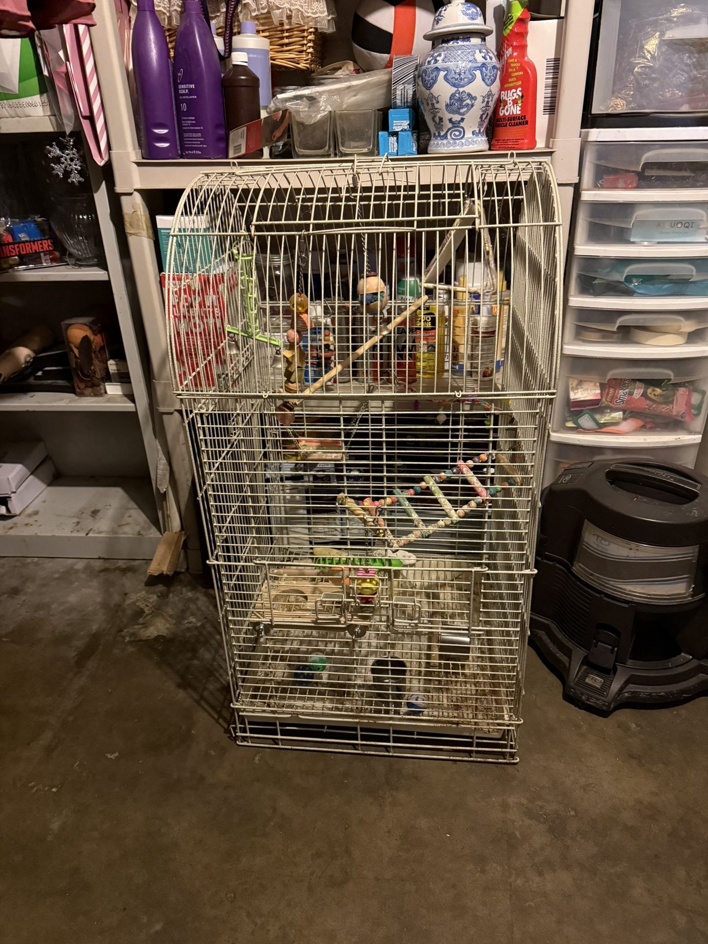 Bird Cage 