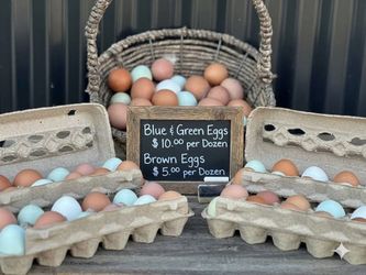ORG eggs RANCH