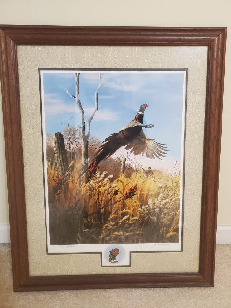 Beautiful Painting of Pheasant
