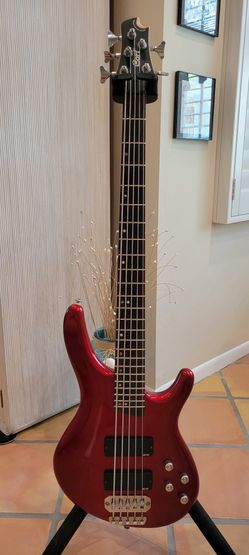 Cort 5 String Bass W/Gig Bag