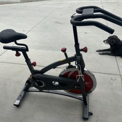 Sunny Health & Fitness Indoor Cycling Bike
