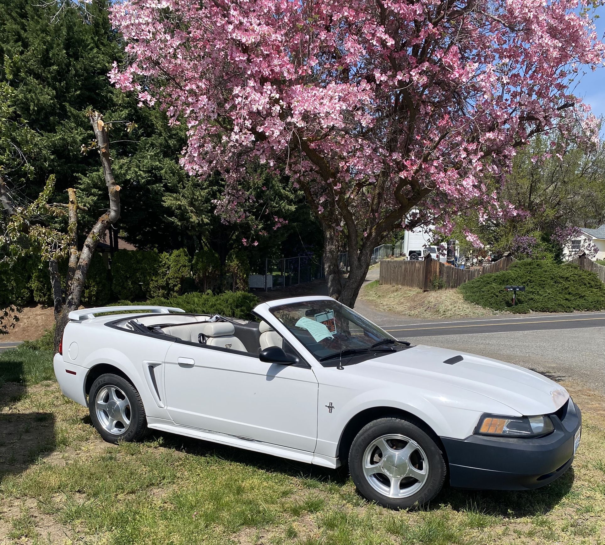 2001 Ford Mustang