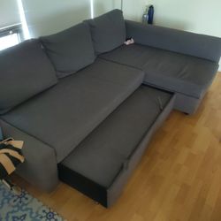 Pull Out couch