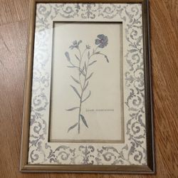 Framed Floral Art