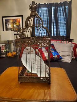 Bird cage Harry Potter style