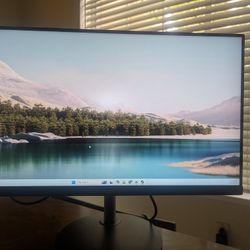 Acer 165hz IPS Gaming Monitor