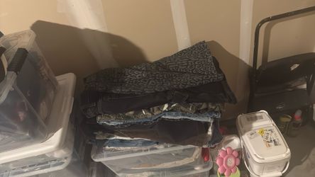 Jortsn Pants Mens $10ea