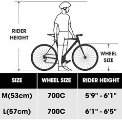 ✌️ HILAND 700C Road Hybrid Bike, 7 speeds Bikes Urban City Commuter Bicycle with Disc Brake for Men Women Adult Comfortable Bicycle