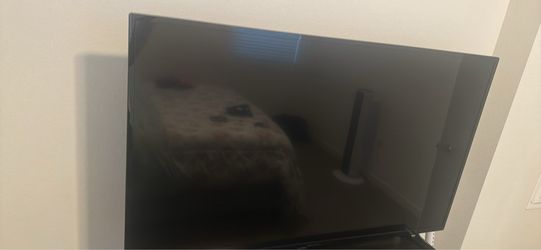 Insignia 50Inch Flat Screen Tv