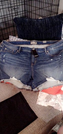 Torrid Denim Shorts Size24