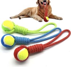 Dogs Balls Toys Training 