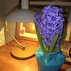 Knoll Lamp