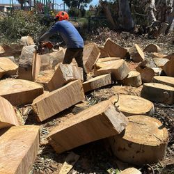 Free Wood 