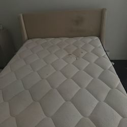 Queen Bed Frame And Mattress 