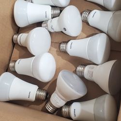12 Led Bulbs
