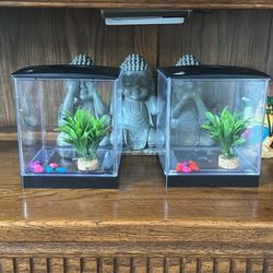 fish tank