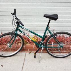Schwinn Sidewinder Mountain Bike Rebuilt