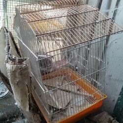 Cage For Sale